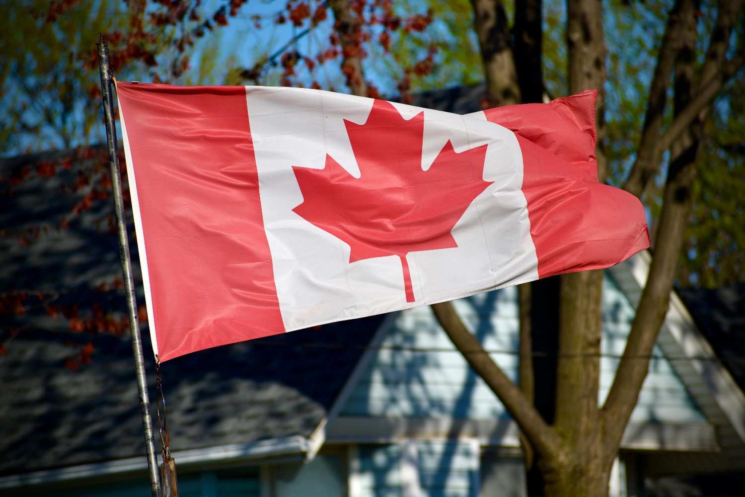 Read more about the article Study in Canada: A Comparison of College vs University Pathways for Malaysian Students
